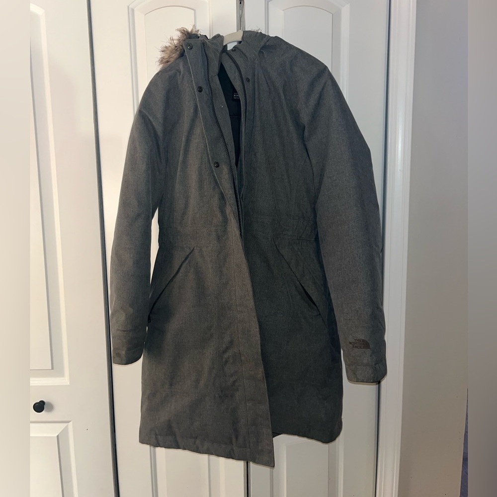 The north face arctic down parka